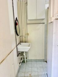 EAST PAYOH PALM (D12), Shop House #613065271